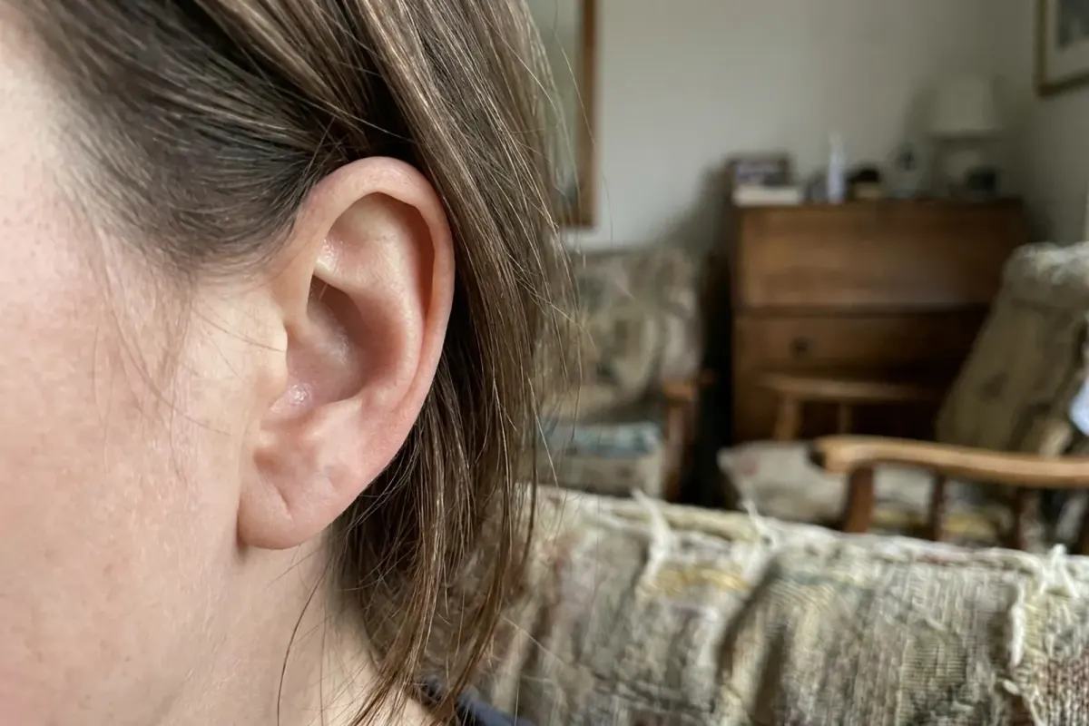 A close-up of a side view of a person's ear in soft daylight